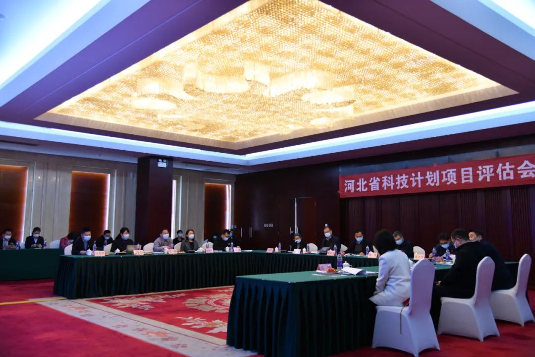 红桃国际组件回收项目入选保定高新区首批“揭榜挂帅”榜单