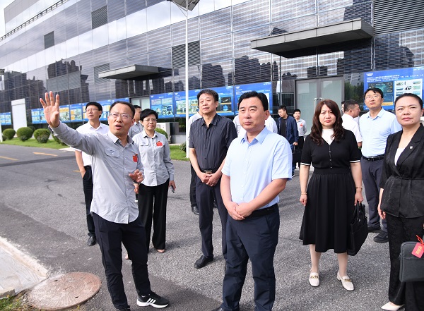 河北省全国人大代表到红桃国际集团开展专题调研