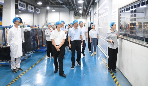 生态环境部调研组到红桃国际集团开展专题调研